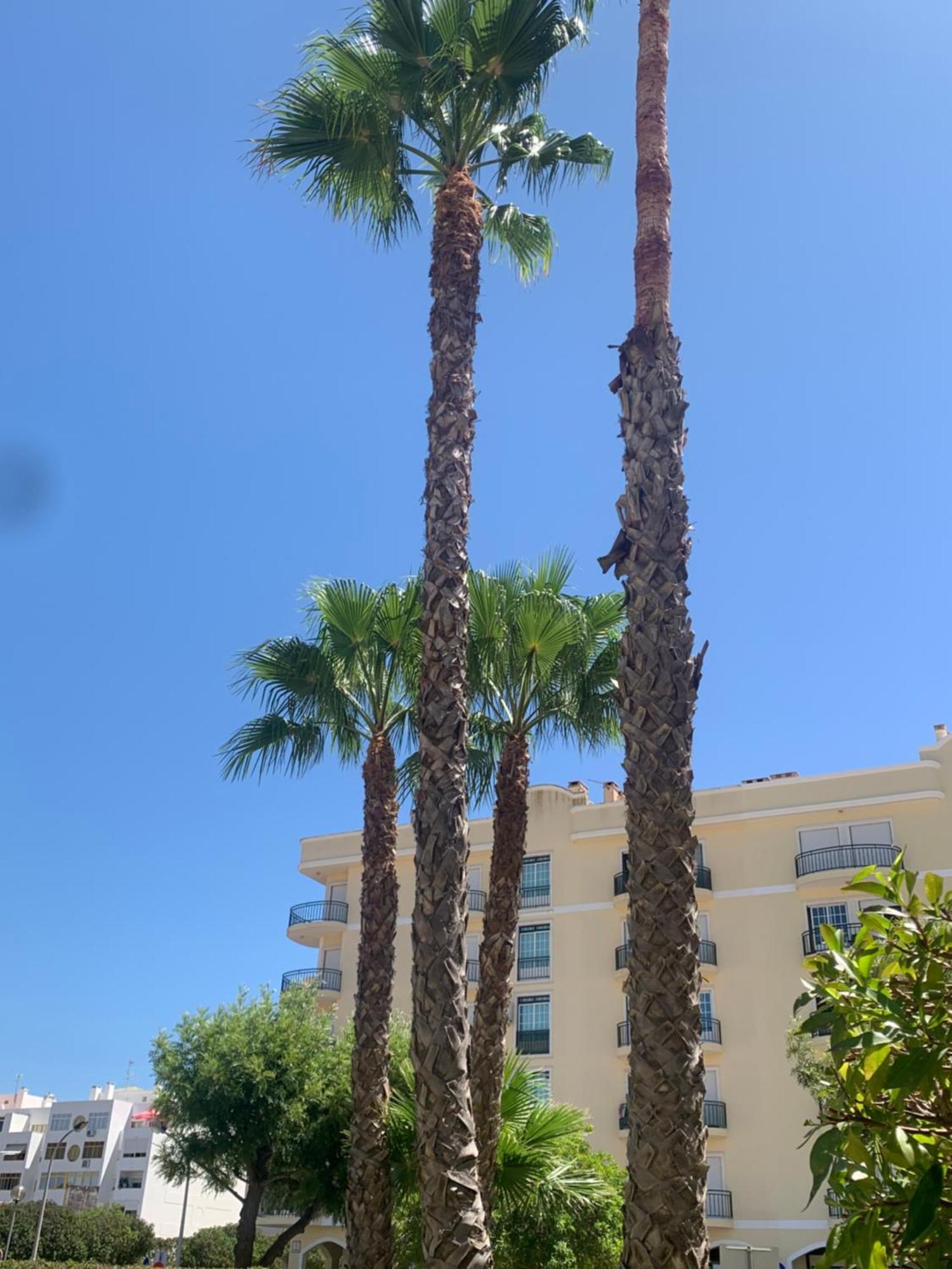 Dunas De Vilamoura Quarteira Exterior photo
